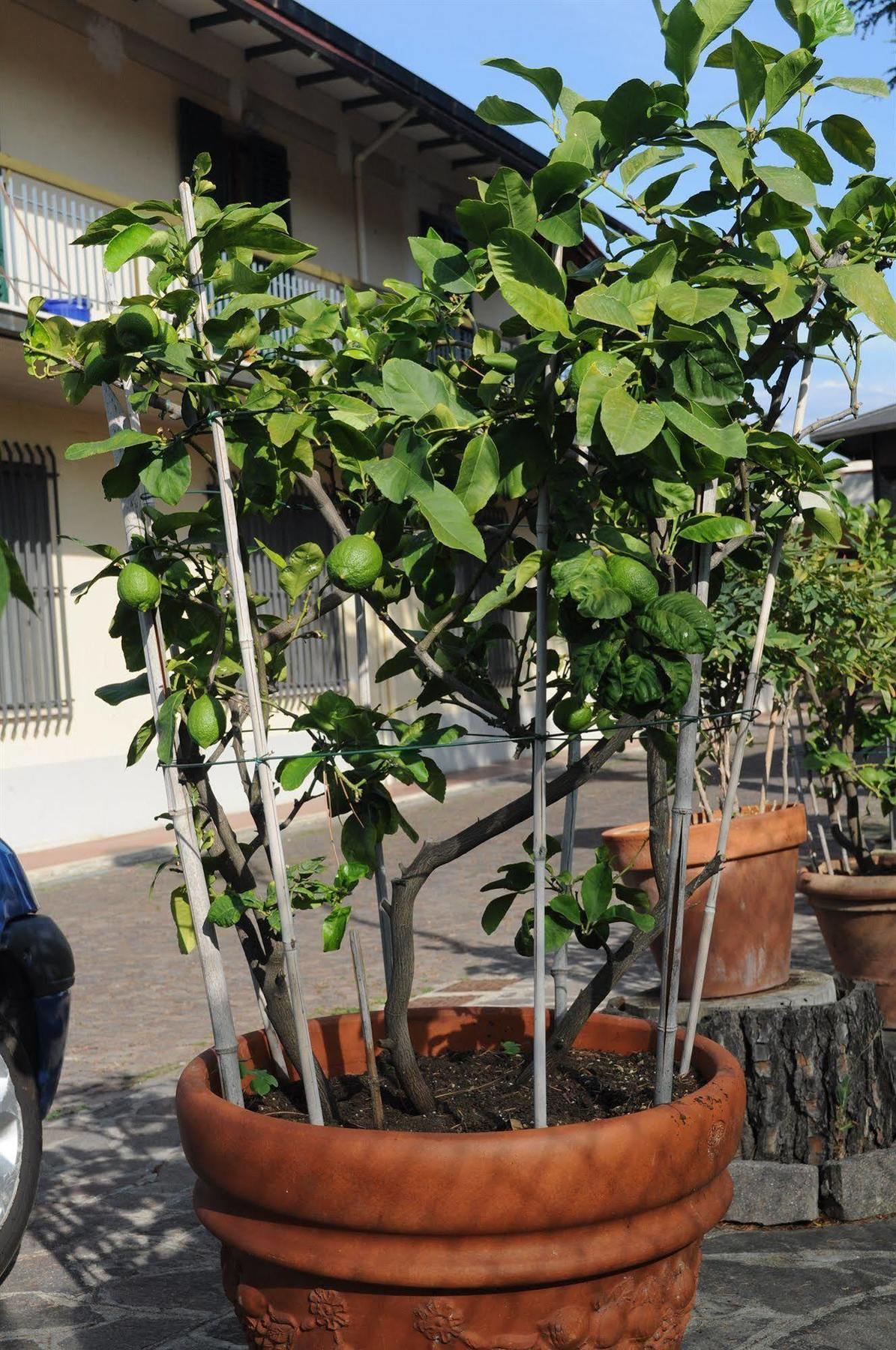 Marinetta Bed & Breakfast Signa Ngoại thất bức ảnh